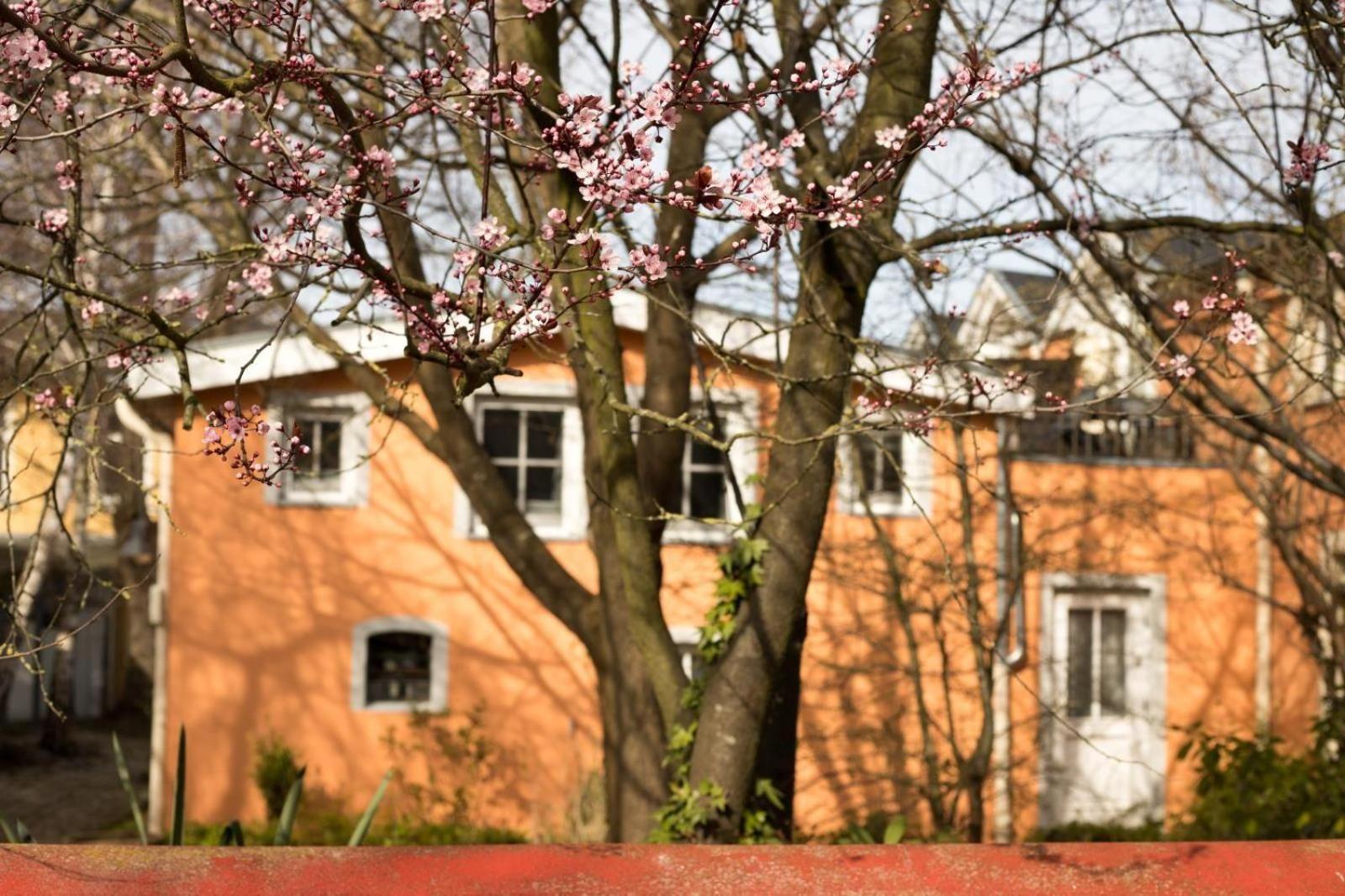 Auf-Den-Hoefen-Wohnung-05-Kleines-Glueck Ostseebad Kühlungsborn Esterno foto